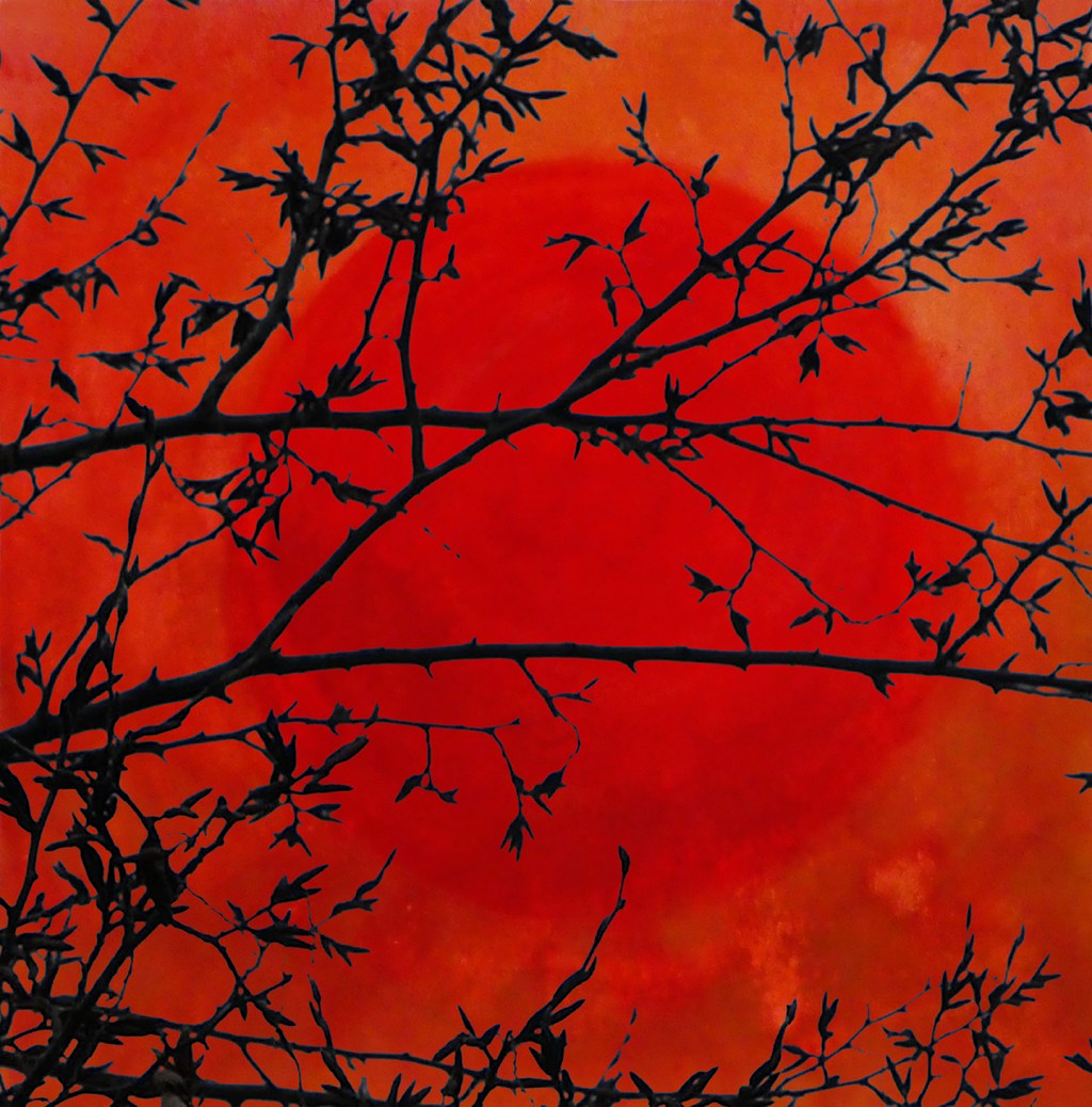 Branchages sur peinture