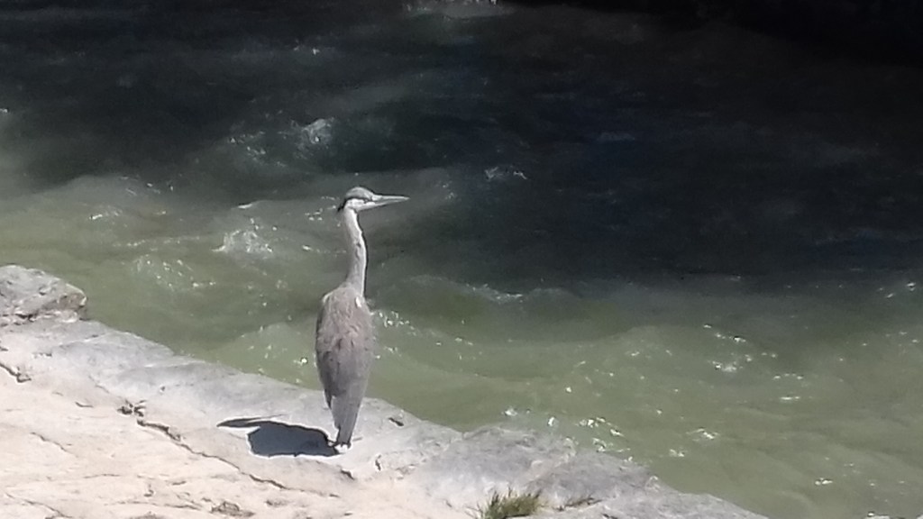 juillet agité. Au bord de l'eau