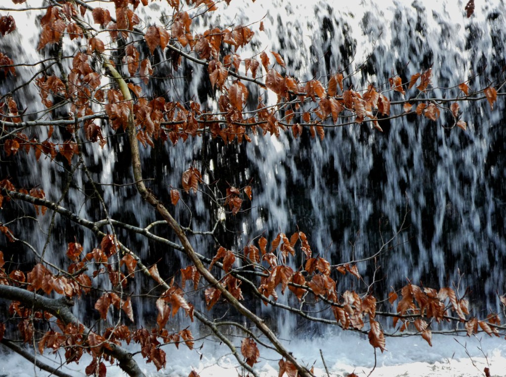 un avril de&nbsp;plus