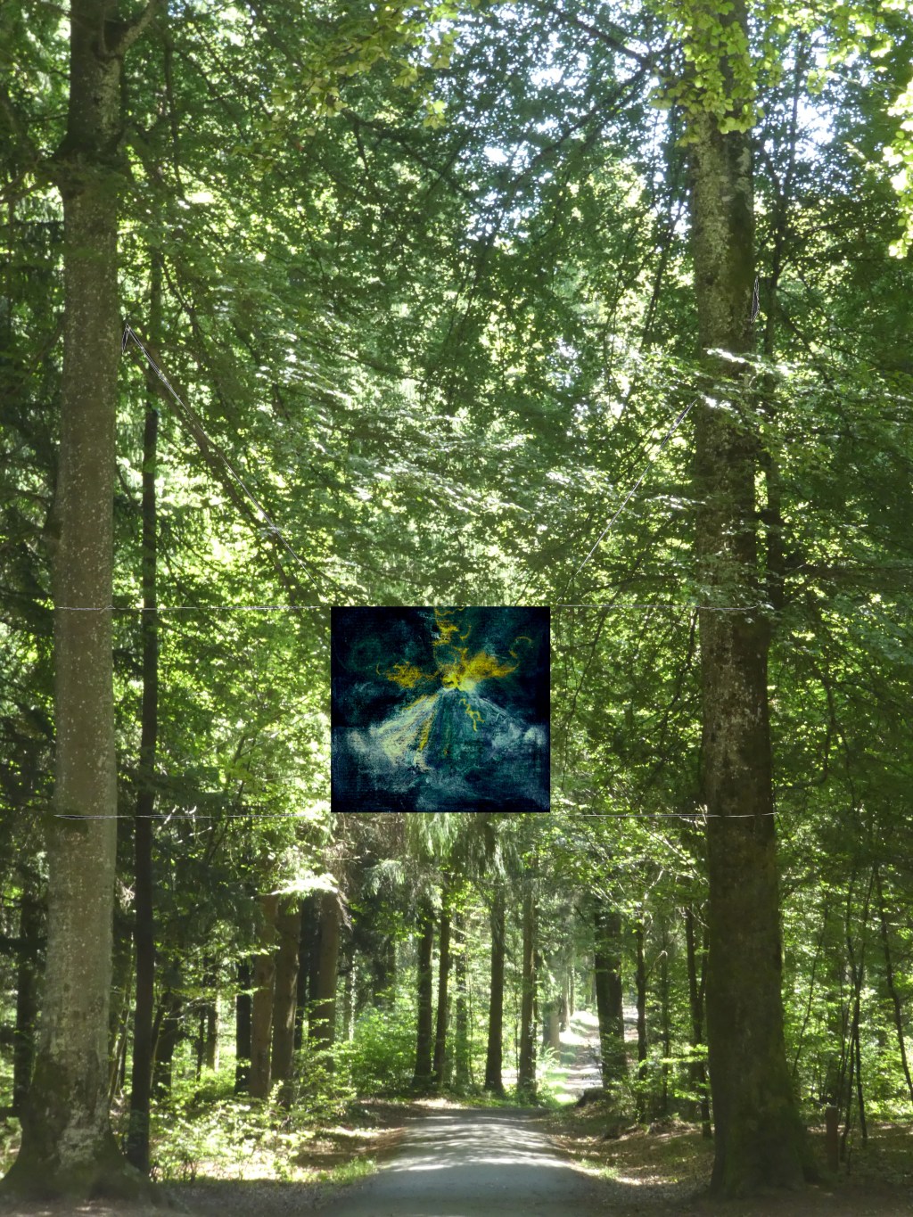 carbnonie projet de peinture dans la forêt