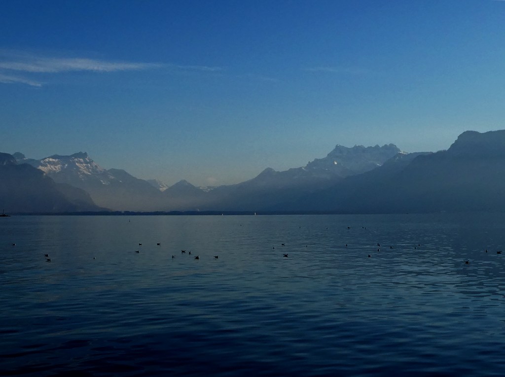 seize, Léman en&nbsp;novembre