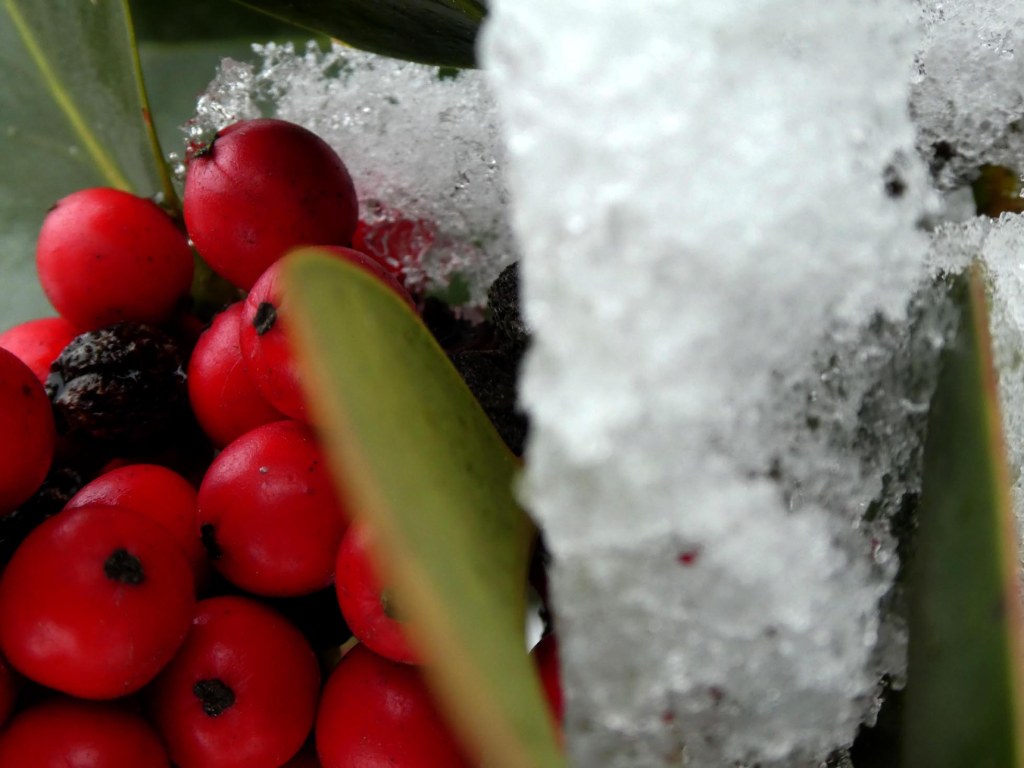 six, parce qu&rsquo;il a neigé aujourd&rsquo;hui…