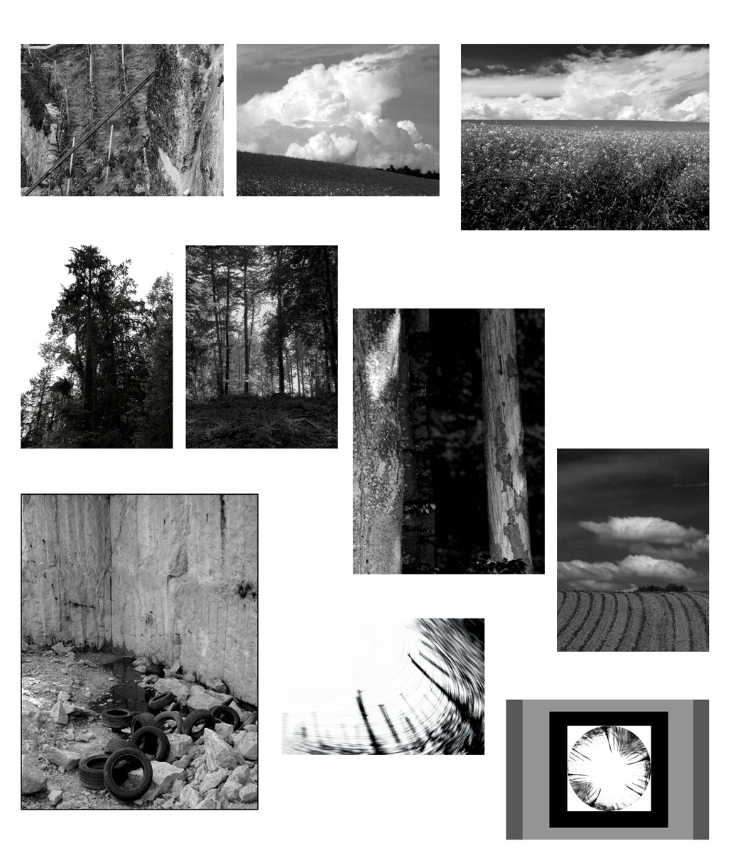 dix photos en noir et blanc