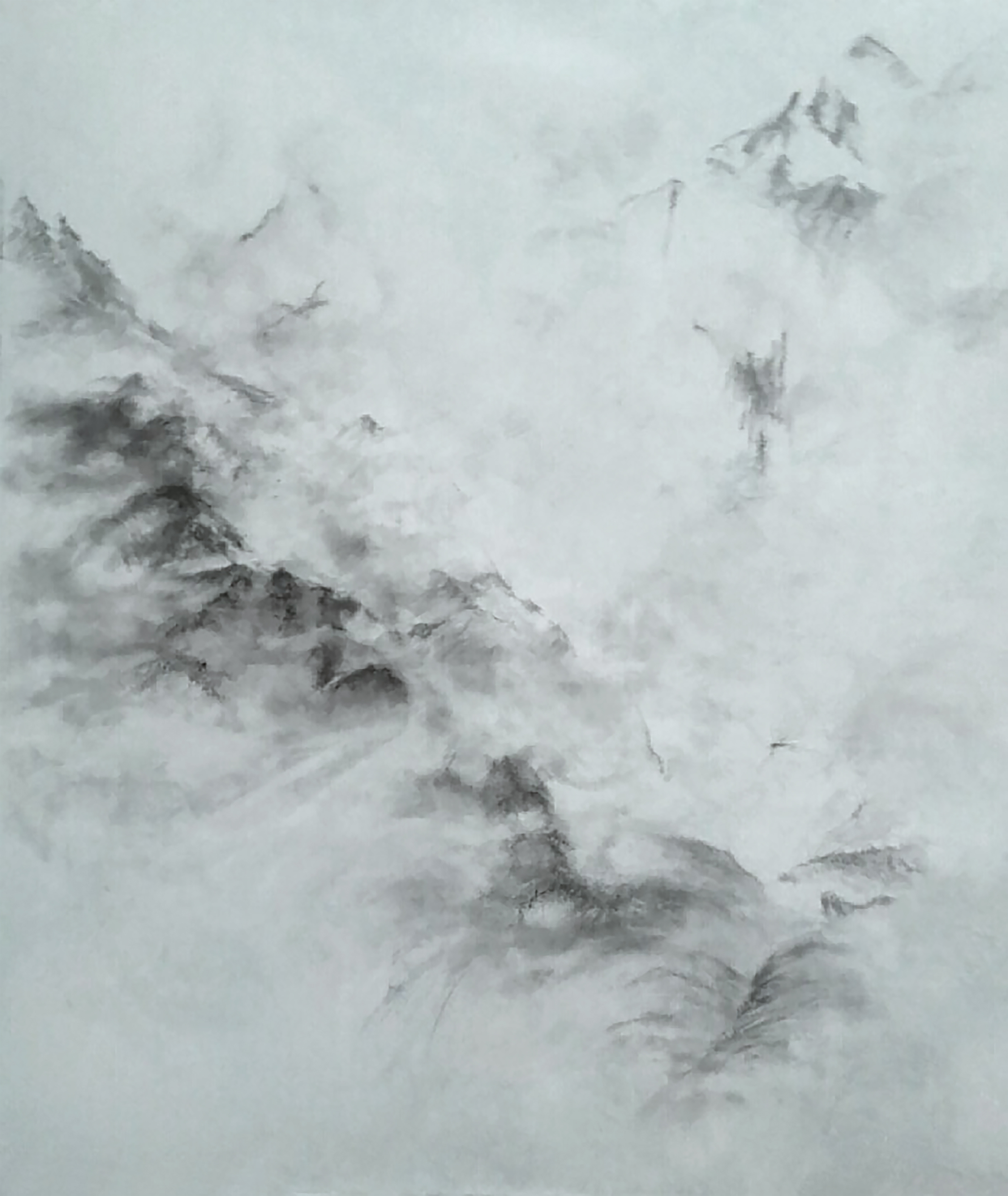 montagnes dans le brouillard