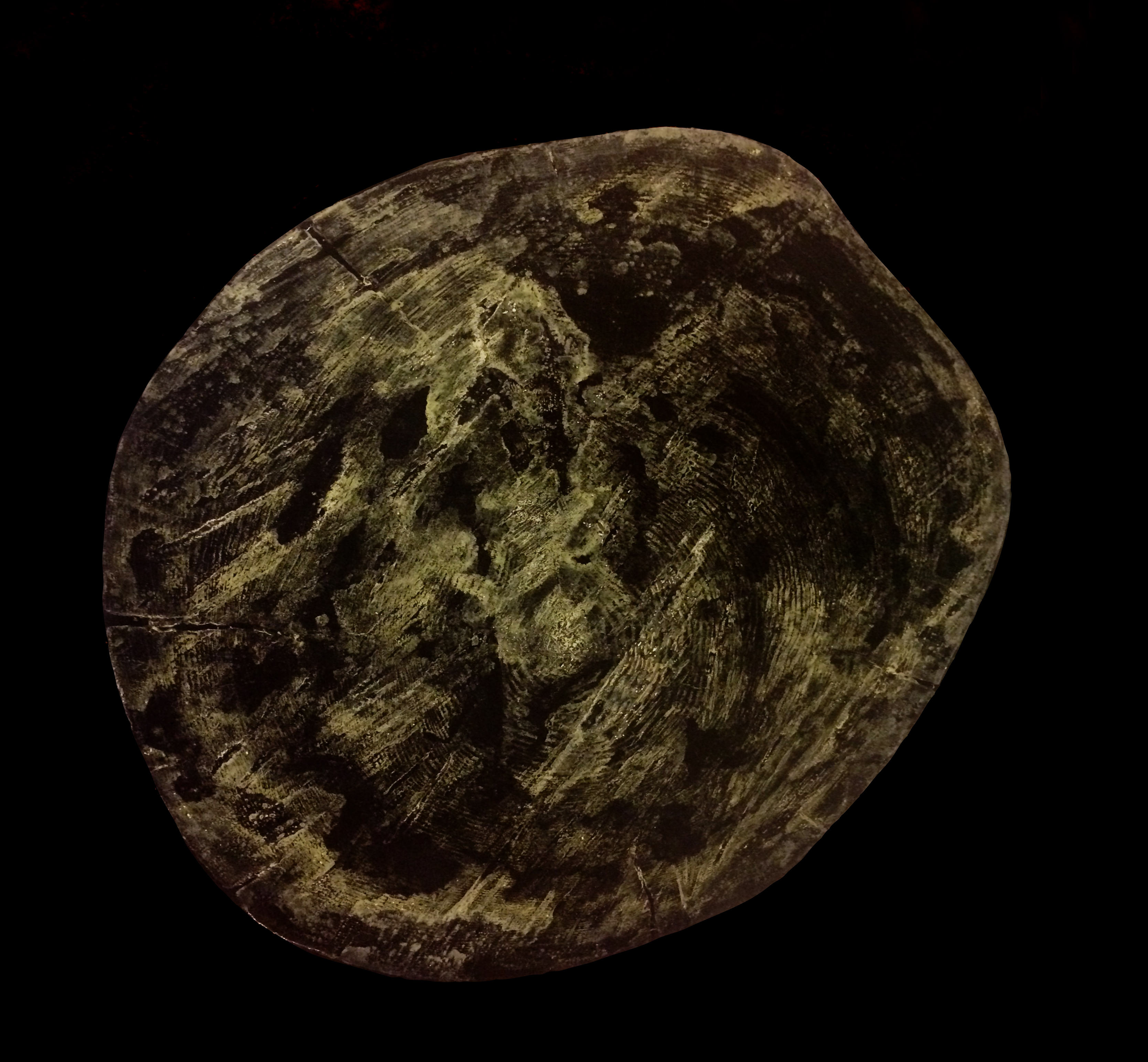 skull, un monotype de souche