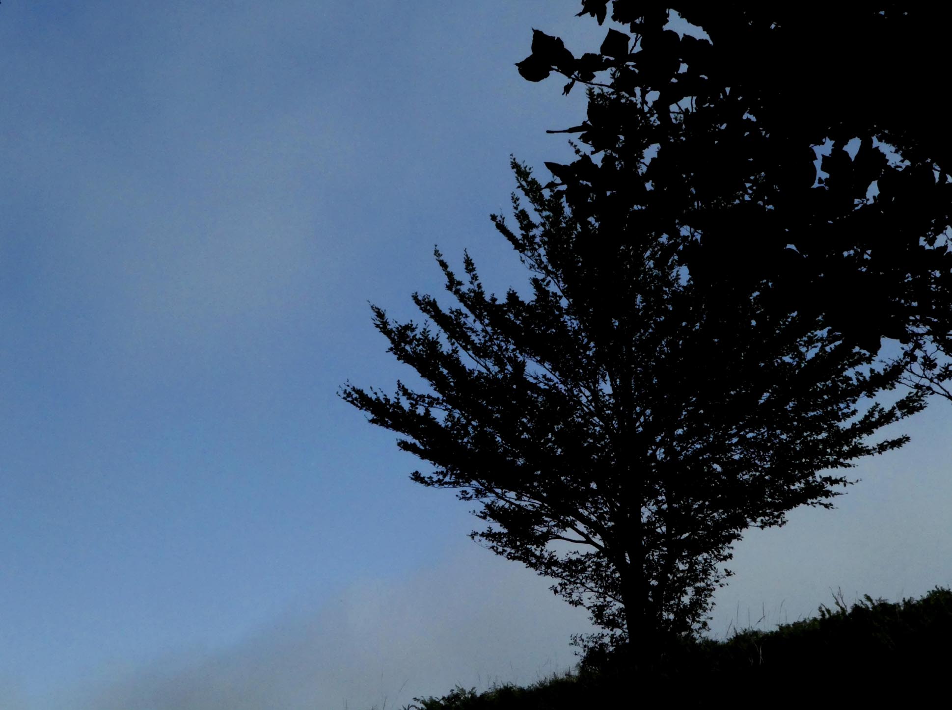 contre plongée en contre jour