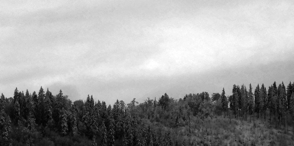 dix-sept, magie des premières&nbsp;fois