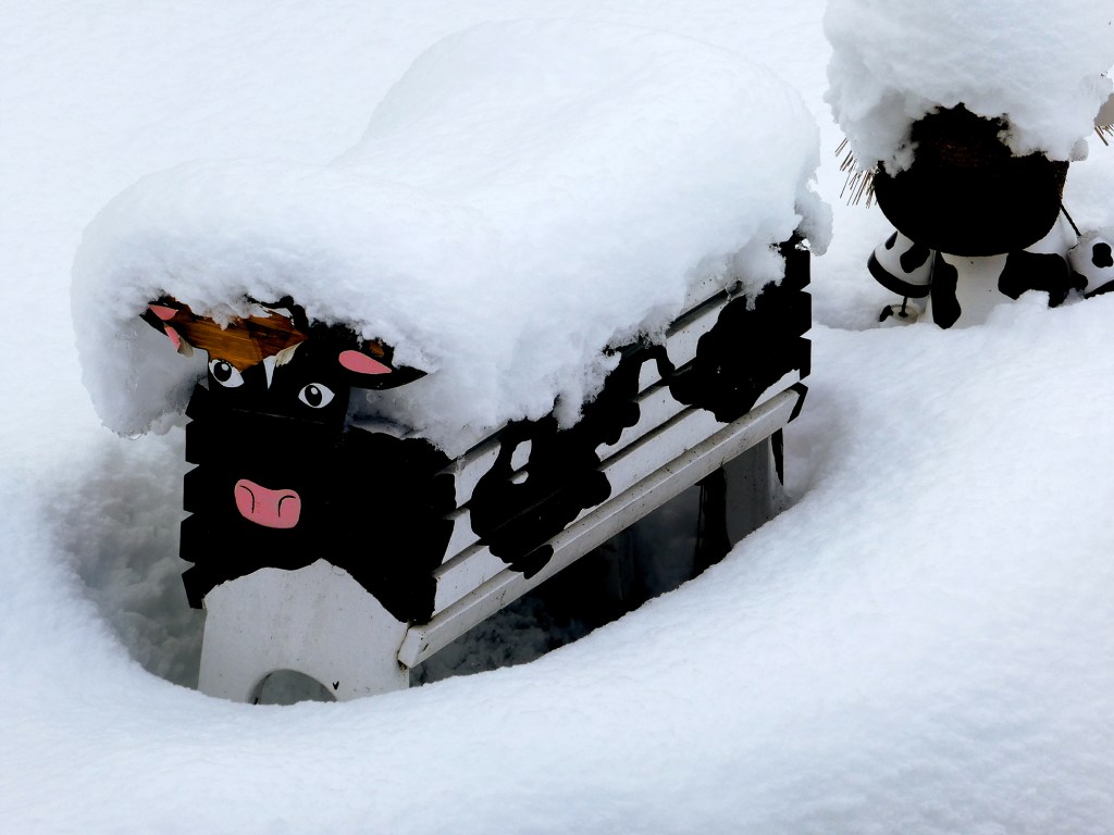 la vache en bois dans la neige