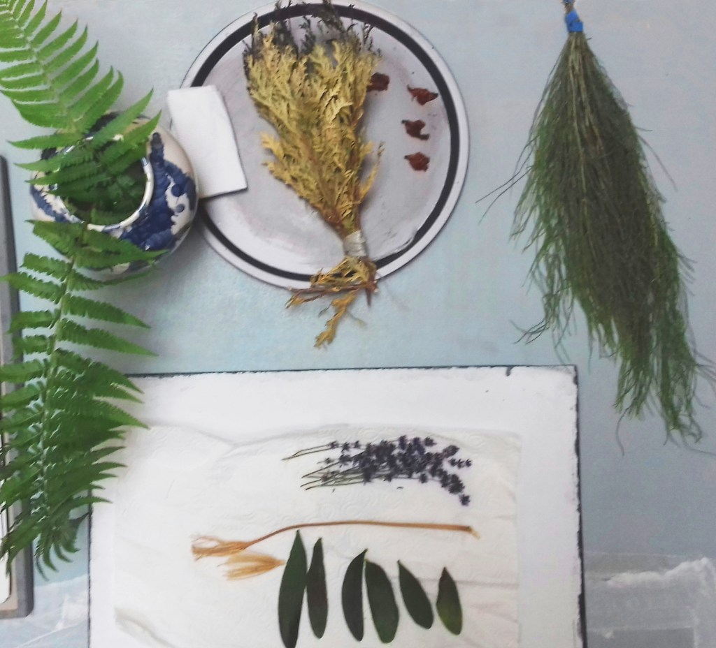 travailler avec des plantes