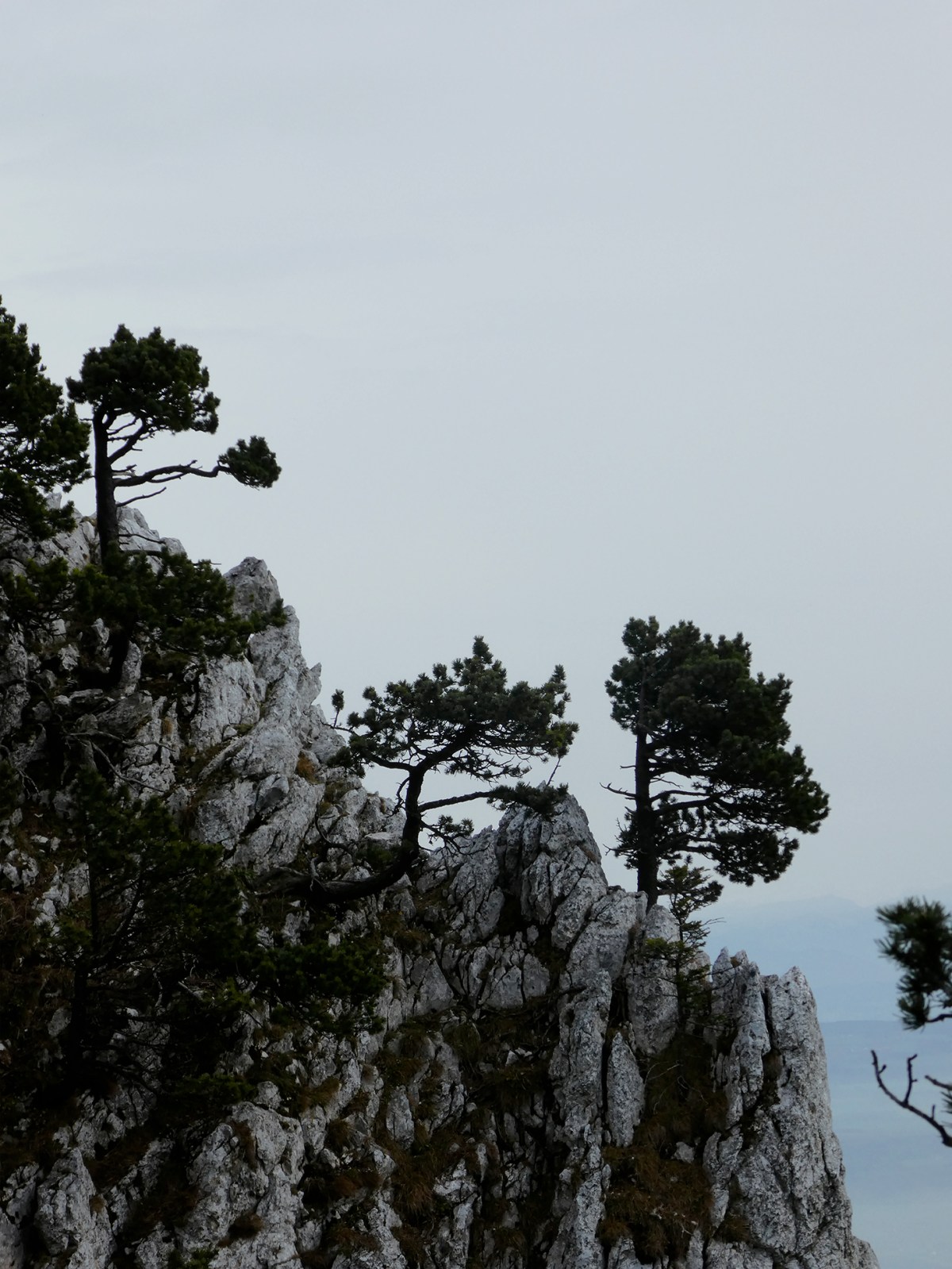 sur les rochers de Baulmes