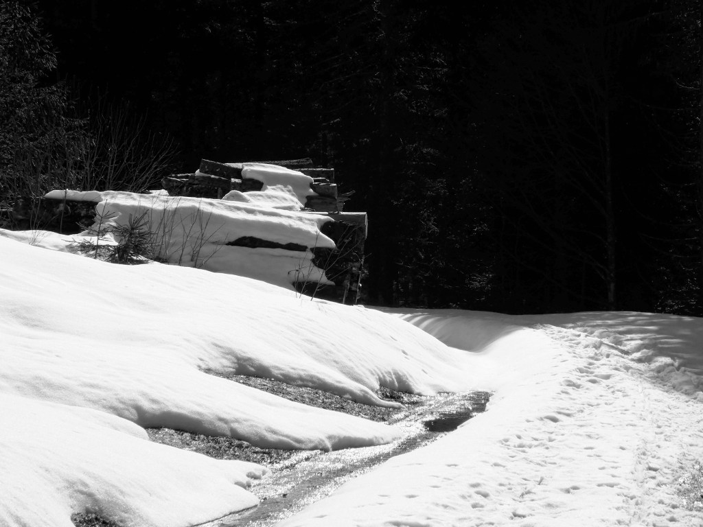 tas de bois sous la neige