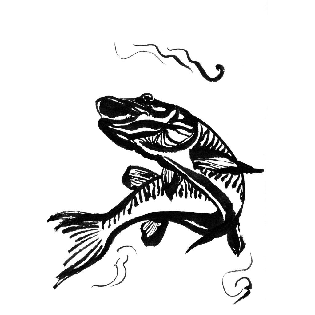 cours-atelier et stage de&nbsp;dessin