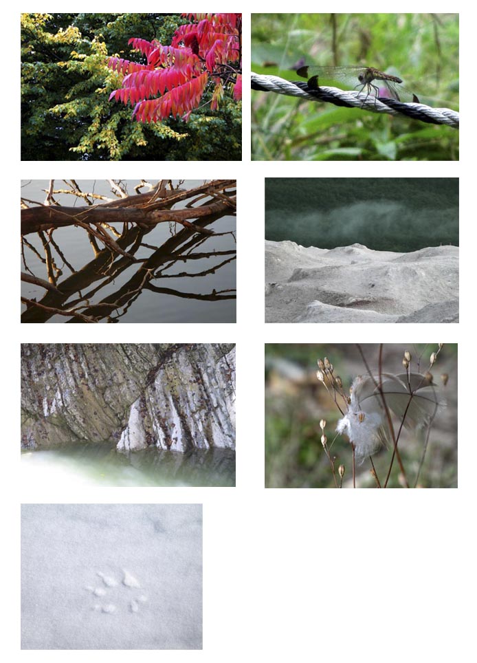 Montage photo septembre 2017