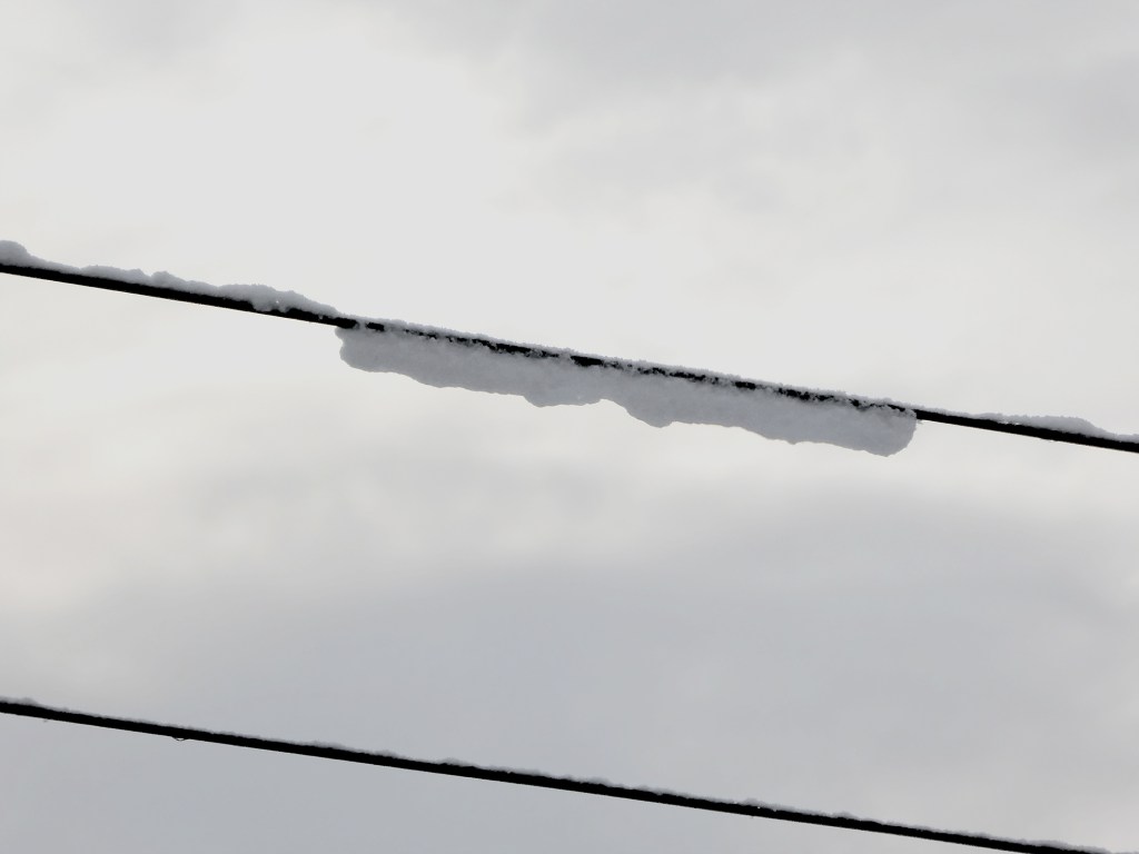 le fil couvert de neige