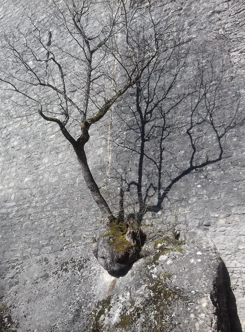 un après-midi de printemps