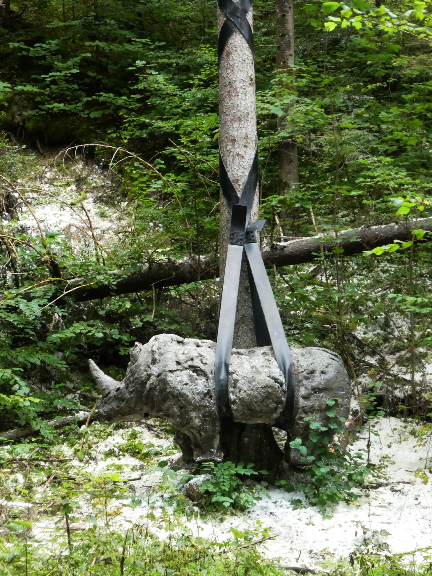 Rhinoceros, une sculpture d'Olivier Estopey à Mottiers 