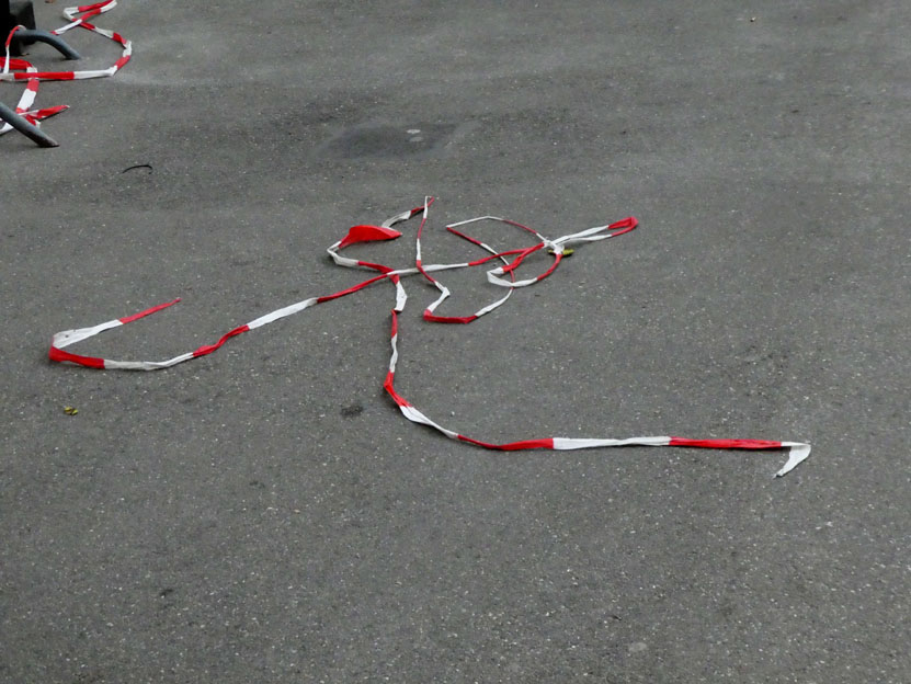 quels sont ces serpents