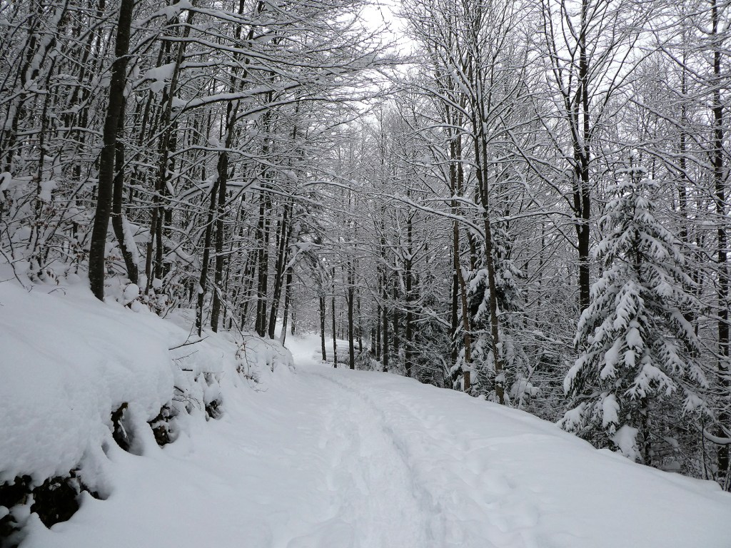 chemin enneigé