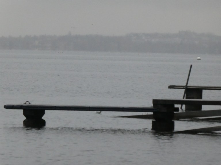 au bord du lac par temps de pluie