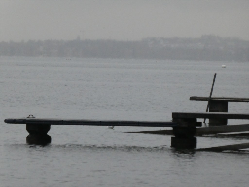 au bord du lac par temps de pluie