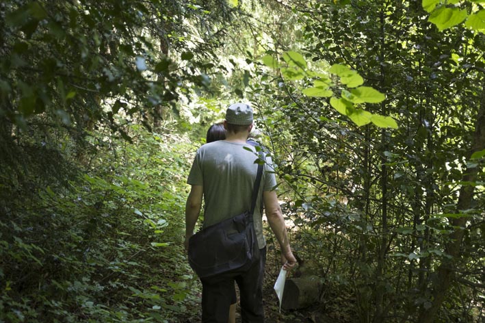Dans les bois de l'hermitage