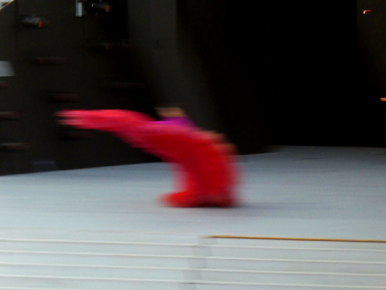 Fête des vignerons 2019