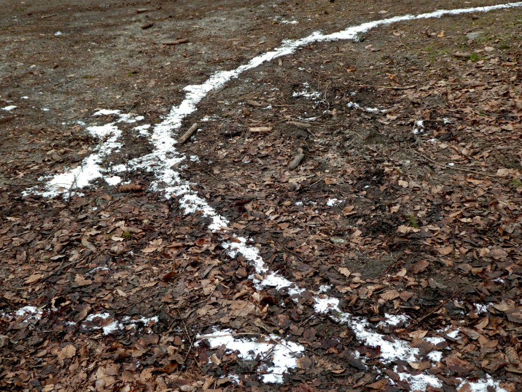 coulure de sel sur le sol