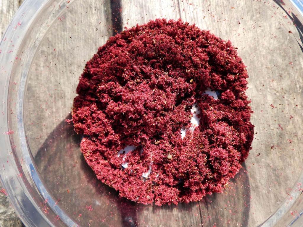 sumac concassé