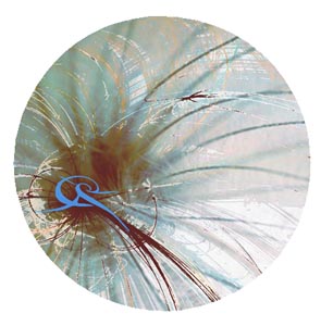 emblème pastille titre de rubrique