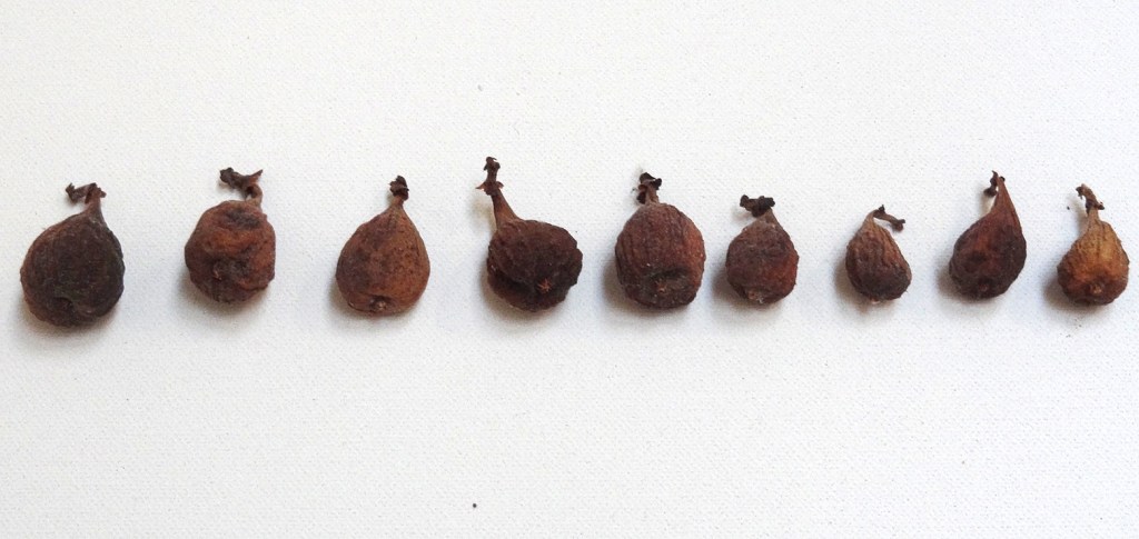 avril, petites choses sur du&nbsp;blanc