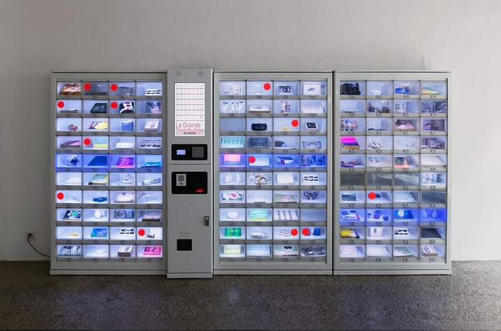 Espace Ruine, les annuelles de Visarte-&nbsp;Genève